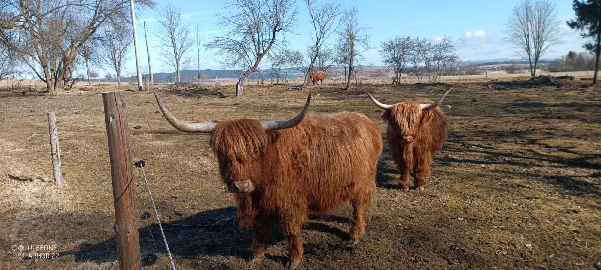 Podlesok 697 Villa Káposztafalva Kültér fotó