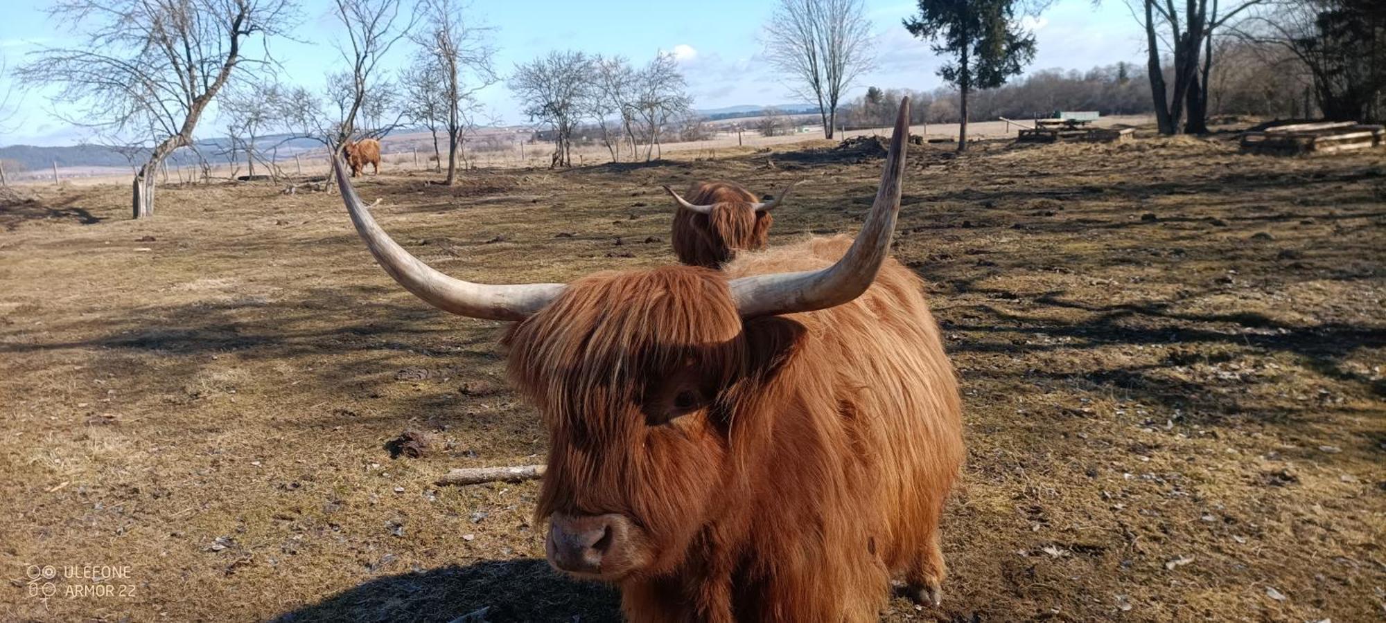 Podlesok 697 Villa Káposztafalva Kültér fotó